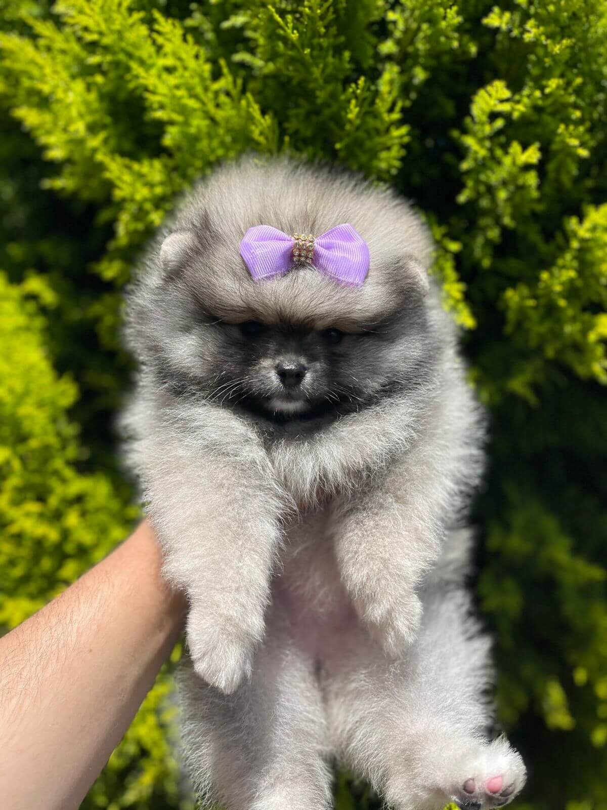 Imagem do WhatsApp de 2025-11-06 à(s) 16.04.20_e5890226