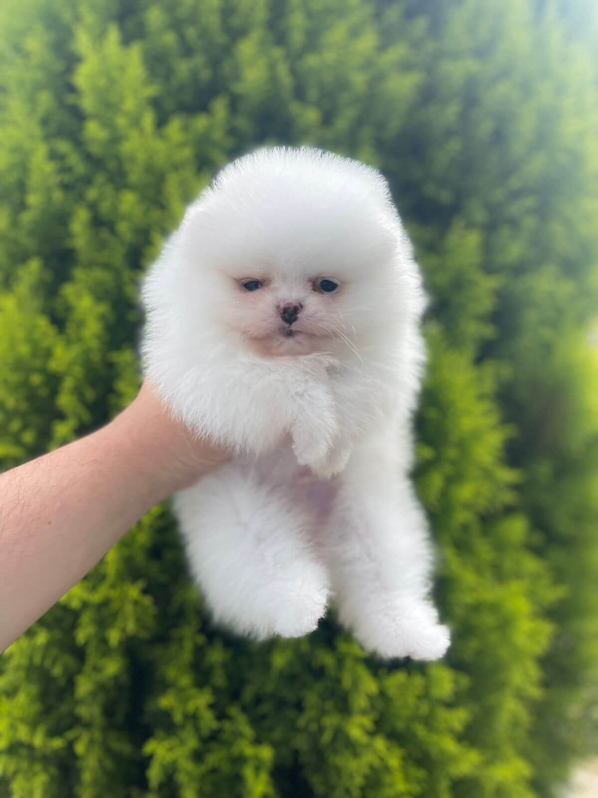 Imagem do WhatsApp de 2025-11-06 à(s) 16.04.22_7bef1687