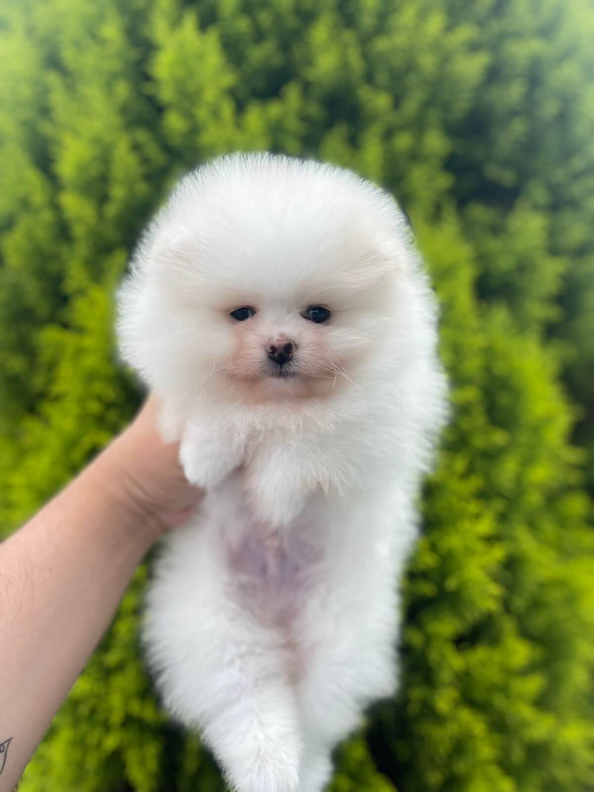 Imagem do WhatsApp de 2025-11-06 à(s) 16.04.22_b8f58e25