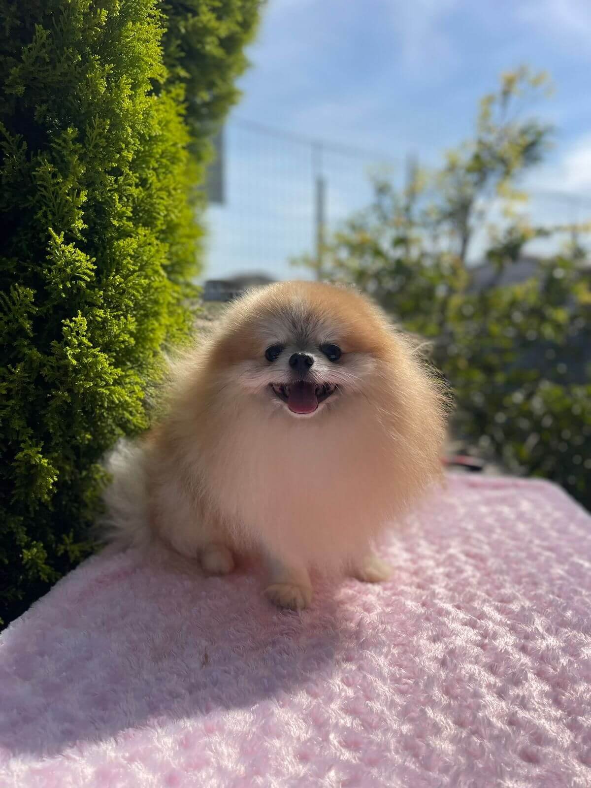 Imagem do WhatsApp de 2025-11-06 à(s) 16.04.23_497c1d93