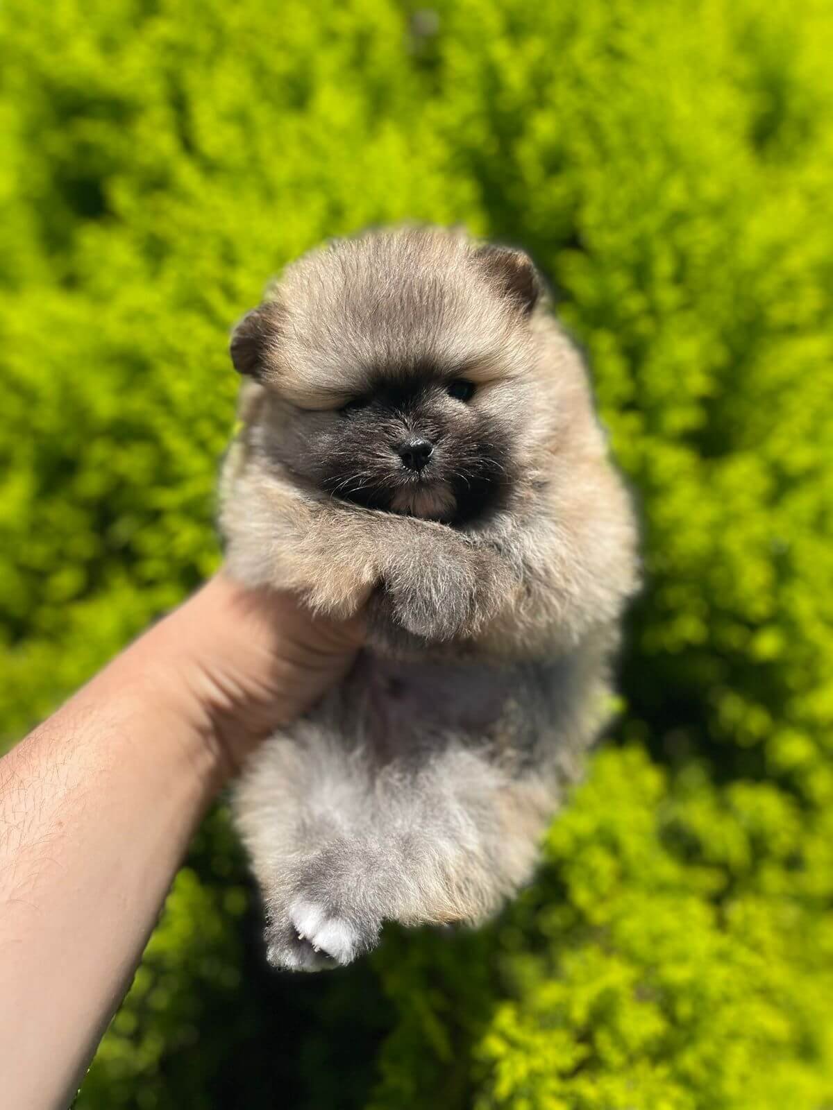 Imagem do WhatsApp de 2025-11-06 à(s) 16.04.24_5c05721d