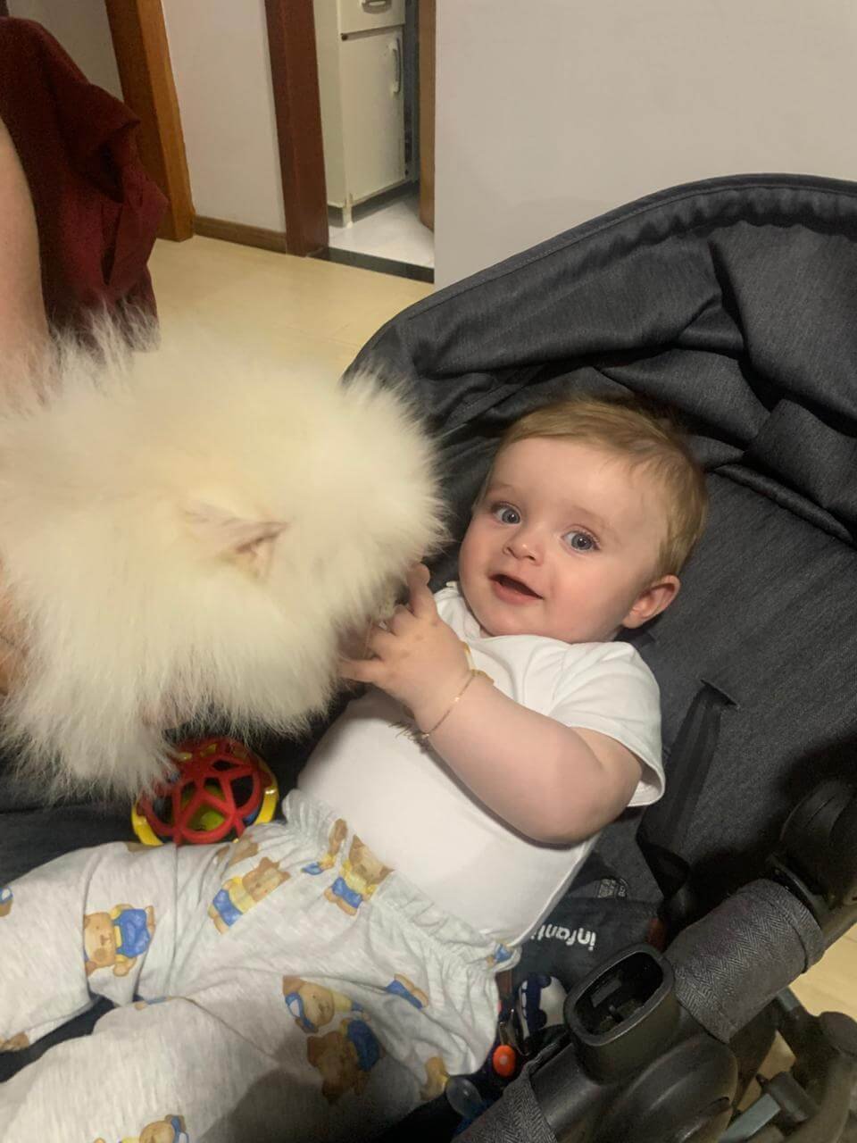 Imagem do WhatsApp de 2025-11-06 à(s) 16.11.05_00eaafba