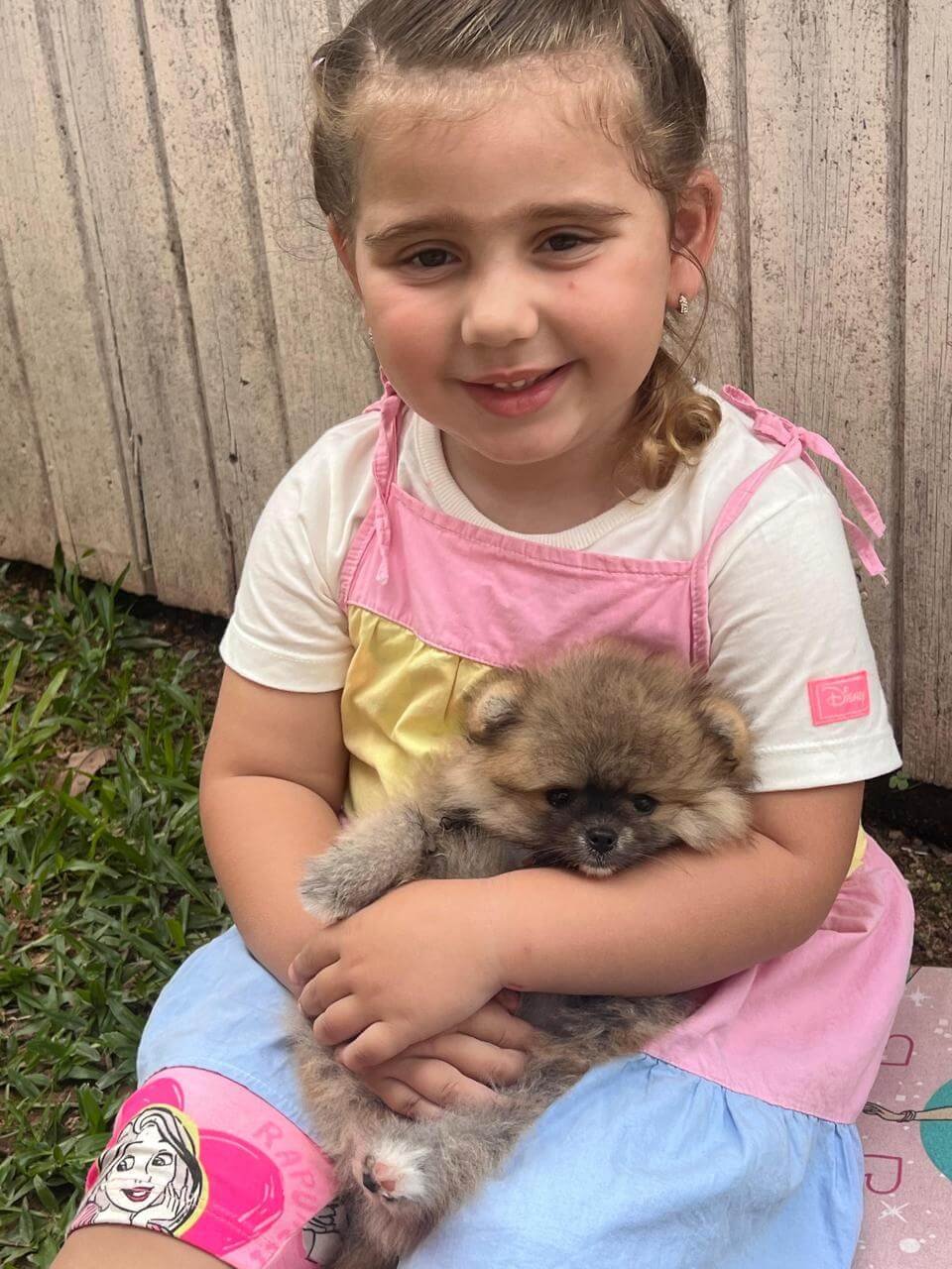 Imagem do WhatsApp de 2025-11-06 à(s) 16.11.06_cfb43164